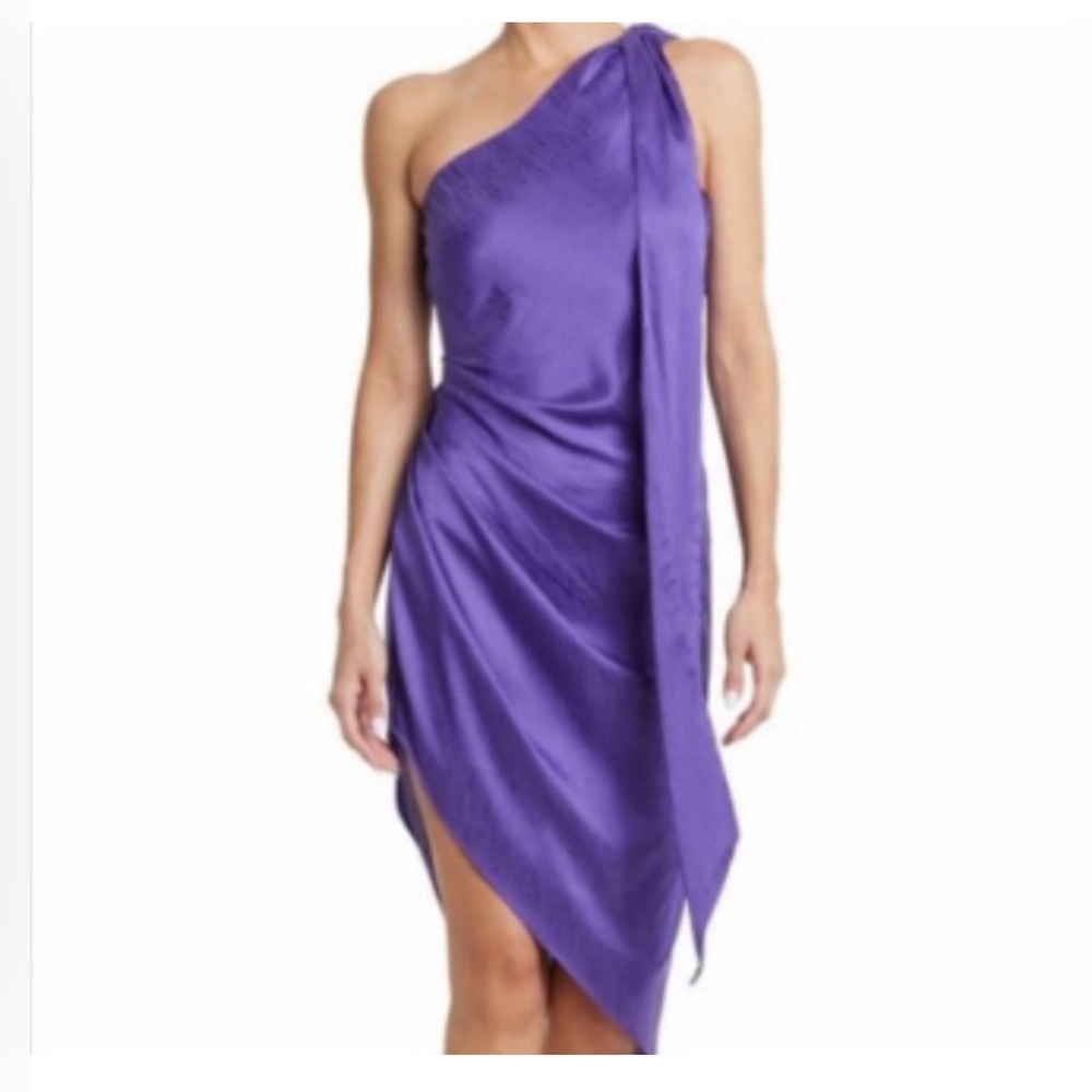 Ronny Kobo Zoe One Shoulder Silk Midi Dress